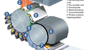 How Does Inline Priming (ILP) Technology Drive Substrate Freedom and Maximum Ink Adhesion in HP Indigo Digital Printing?